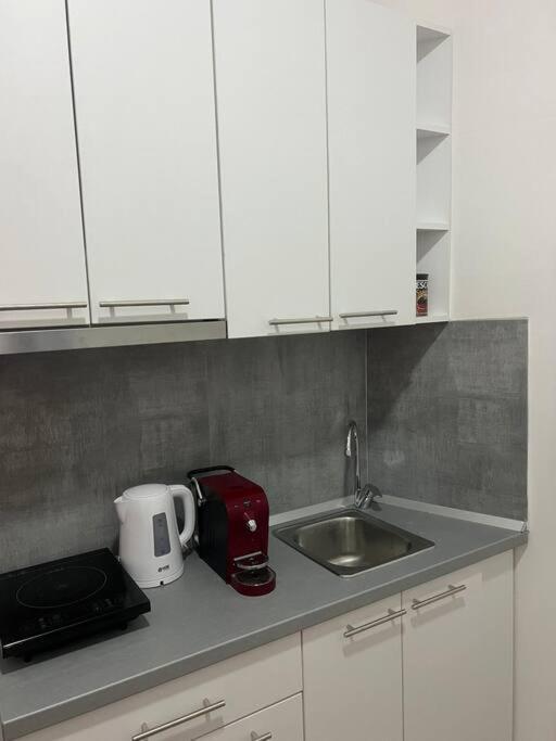 Sany Center Apartment ベオグラード エクステリア 写真